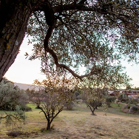 Mas Del Bot Valderrobres