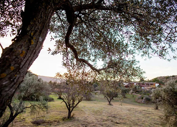 Mas Del Bot Valderrobres