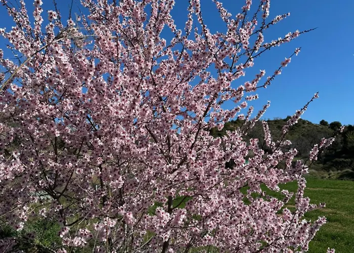 Casa rural Mas Del Bot